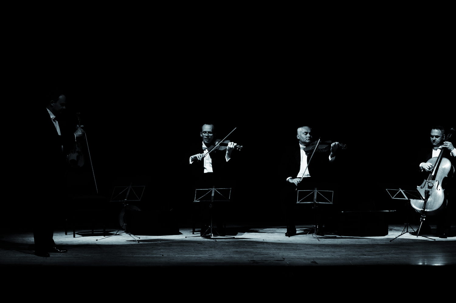 MG3 - copyright tp arte gemini icr-min